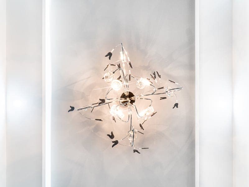 King David - Photo 4