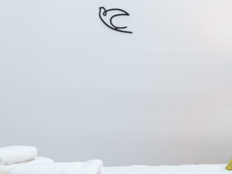 King David - Photo 5