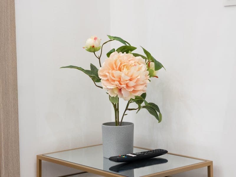 Penthouse - Photo 46